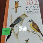 102 Aves comunes del Paraguay