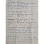 Mboraijhu tapere mi y Pueblecito azul